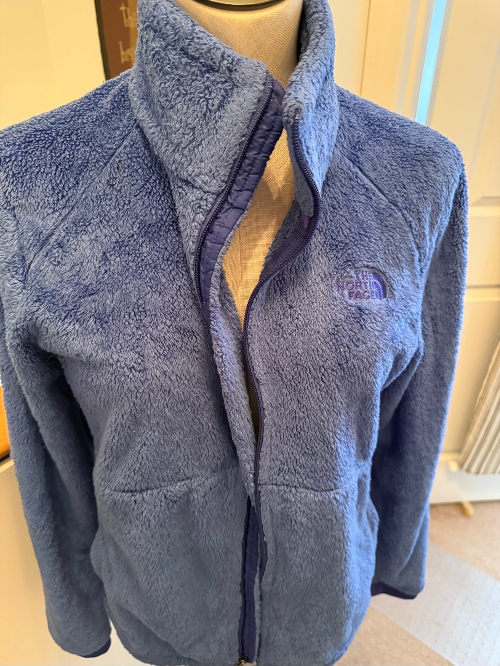 The North Face Women's Plush Fleece Jacket in Periwinkle
